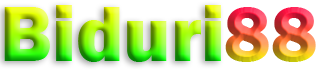BIDURI88